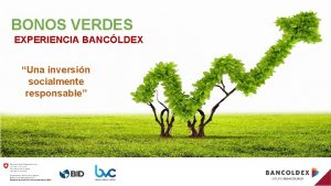 BONOS VERDES EXPERIENCIA BANCLDEX Una inversin socialmente responsable