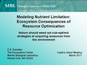 Modeling Nutrient Limitation Ecosystem Consequences of Resource Optimization