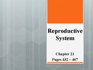 Reproductive System Chapter 21 Pages 432 467 Page