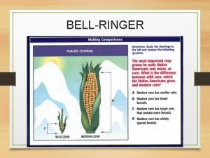 BELLRINGER Converging Cultures CHAPTER 1 The Migration to