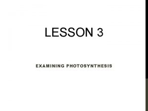 LESSON 3 EXAMINING PHOTOSYNTHESIS NEXT GENERATION SCIENCECOMMON CORE