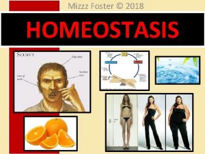 Mizzz Foster 2018 HOMEOSTASIS Homeostasis Homeostasis BALANCE Homeostasis