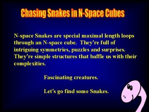 Nspace Snakes are special maximal length loops through