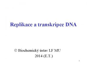 Replikace a transkripce DNA Biochemick stav LF MU