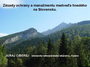 Zsady ochrany a manamentu medvea hnedho na Slovensku