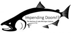 Impending Doom The decline of Lake Michigan Salmon