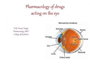Pharmacology of drugs acting on the eye Prof
