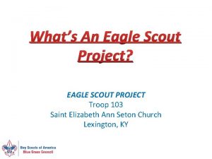 Whats An Eagle Scout Project EAGLE SCOUT PROJECT