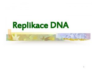 Replikace DNA 1 Obsah Co je vsledkem replikace