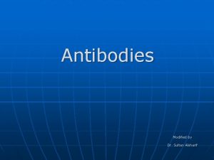 Antibodies Modified by Dr Sultan Alsharif Antibodies or
