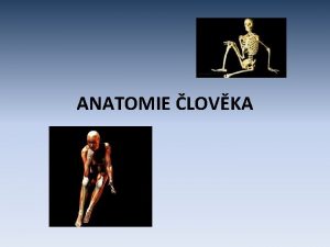 ANATOMIE LOVKA KOSTERN SOUSTAVA OPRN KOSTRA SKELET tvo