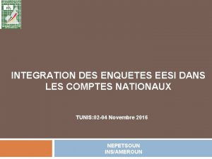 INTEGRATION DES ENQUETES EESI DANS LES COMPTES NATIONAUX