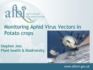 Monitoring Aphid Virus Vectors in Potato crops Stephen