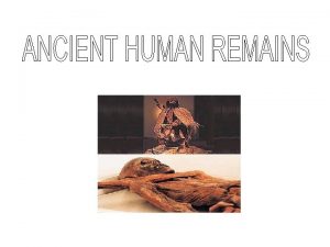 tzi the iceman discovered 19 September 1991 in