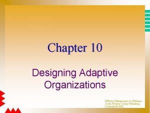 Chapter 10 Designing Adaptive Organizations Effective Management by