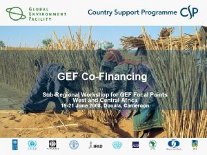 GEF CoFinancing SubRegional Workshop for GEF Focal Points