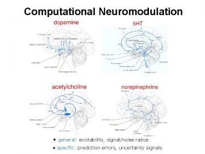 Computational Neuromodulation general excitability signalnoise ratios specific prediction