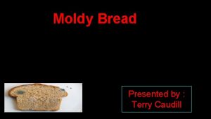 Moldy Bread Presented by Terry Caudill The question