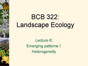 BCB 322 Landscape Ecology Lecture 6 Emerging patterns