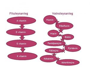 Fituleysanleg A vtamn Vatnsleysanleg amn Rbflavin D vtamn