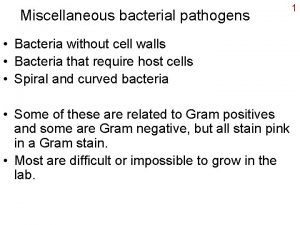 Miscellaneous bacterial pathogens Bacteria without cell walls Bacteria