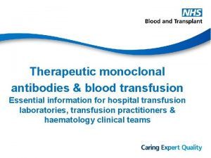 Therapeutic monoclonal antibodies blood transfusion Essential information for