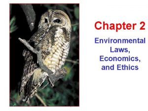 Chapter 2 Environmental Laws Economics and Ethics Environmental