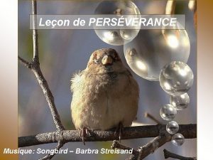 Leon de PERSVERANCE Musique Songbird Barbra Streisand Astu