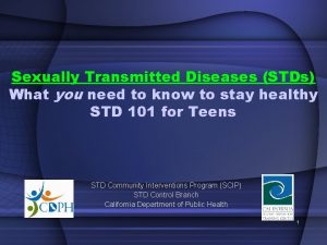 Sexually Transmitted Diseases STDs What you need to