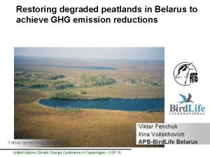 Restoring degraded peatlands in Belarus to achieve GHG