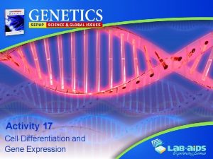 Activity 17 Cell Differentiation and Gene Expression LIMITED
