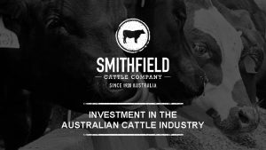 INVESTMENT IN THE AUSTRALIAN CATTLE INDUSTRY Introduction This