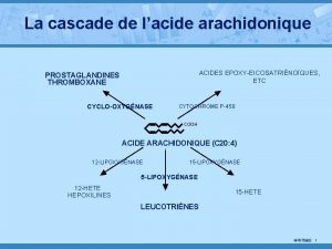 La cascade de lacide arachidonique ACIDES EPOXYEICOSATRINOQUES ETC