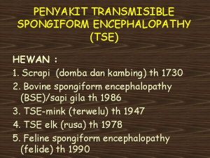 PENYAKIT TRANSMISIBLE SPONGIFORM ENCEPHALOPATHY TSE HEWAN 1 Scrapi