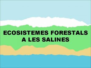 ECOSISTEMES FORESTALS A LES SALINES A lAlt Empord