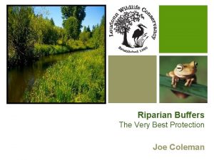 Riparian Buffers The Very Best Protection Joe Coleman