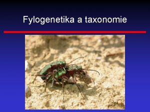 Fylogenetika a taxonomie Obsah Zkladn pojmy a zkladn