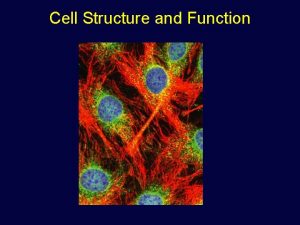 Cell Structure and Function Microscopes Anton Leeuwenhoek invented