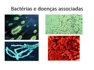 Bactrias e doenas associadas 1 Definio As bactrias
