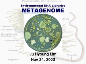 Environmental DNA Libraries METAGENOME Ju Hyoung Lim Nov