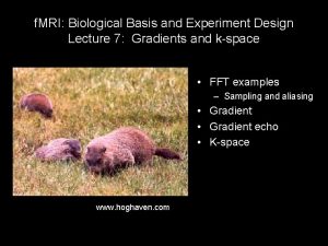 f MRI Biological Basis and Experiment Design Lecture