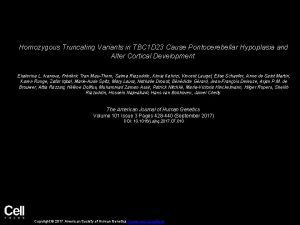 Homozygous Truncating Variants in TBC 1 D 23