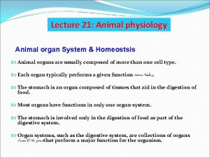 Lecture 21 Animal physiology Animal organ System Homeostsis