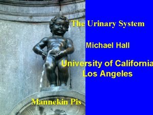 The Urinary System Michael Hall University of California