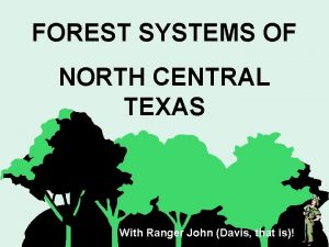 FOREST SYSTEMS OF NORTH CENTRAL TEXAS With Ranger