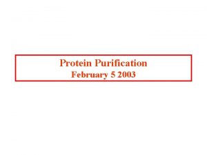 Protein Purification February 5 2003 A basic comprehension