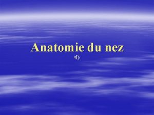 Anatomie du nez Anatomie Le nez externe La