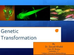Genetic Transformation By Dr Zaryab Khalid Class BS