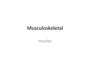 Musculoskeletal muscles Chapter 4 SEHS Muscle Tissue Lecture