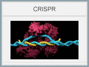 CRISPR Biology terms Cell Mutation Catalyst Gene Protein